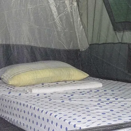 Camping Koral Camping